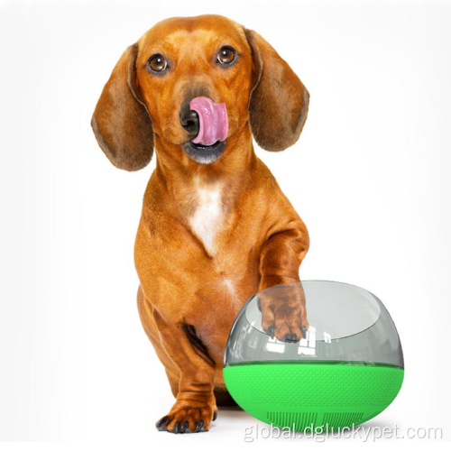 Slow Eating Large Dog Bowl Small Slow Feeder Dog Bowl Supplier